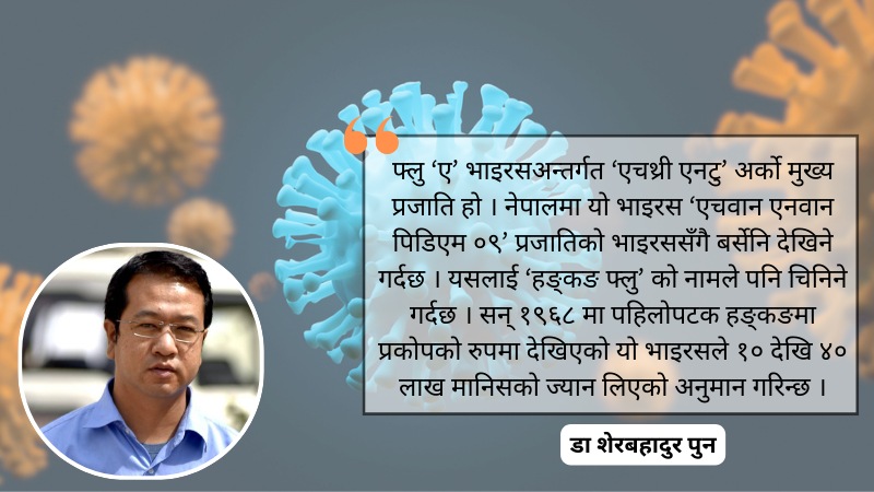 हङ्कङ फ्लुको प्रकोप चुलिँदै